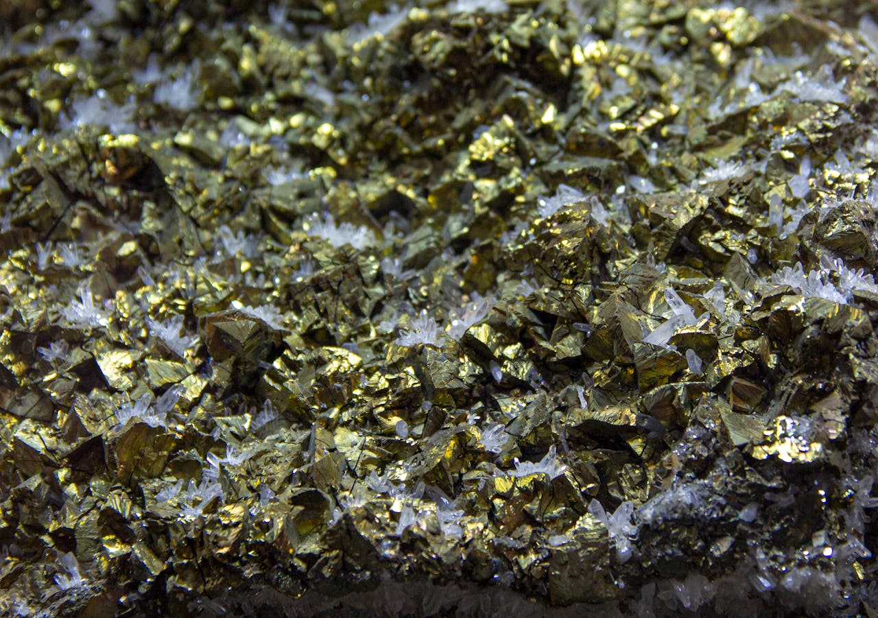 pexels photo 12275616.jpeg